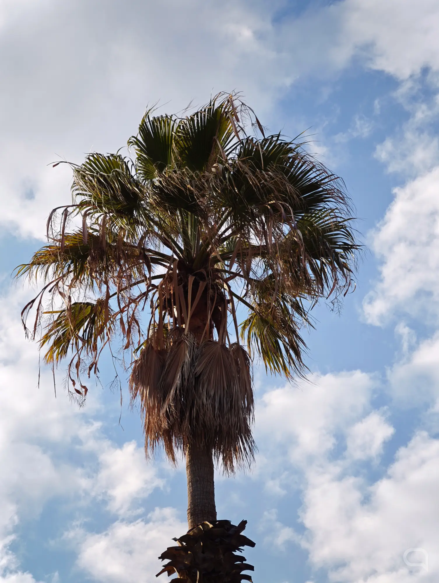 Échantillon Xiaomi 17 Ultra